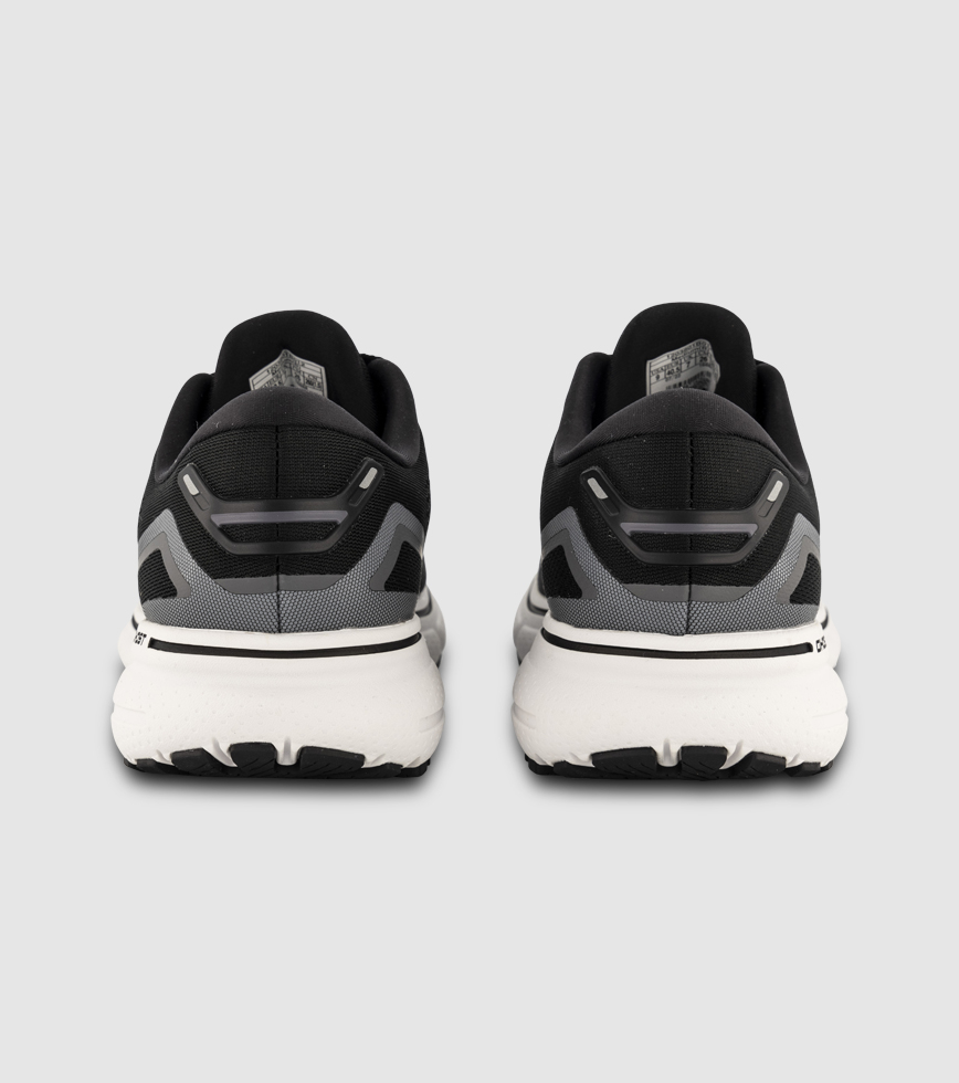 Brooks pegasus 2025