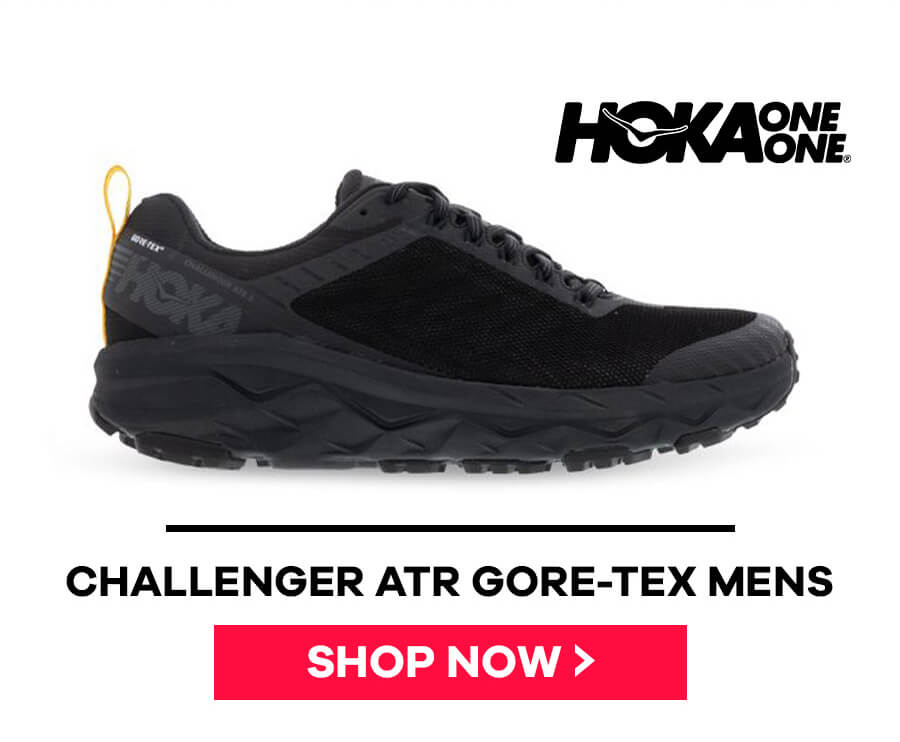 Men's Hoka shoe