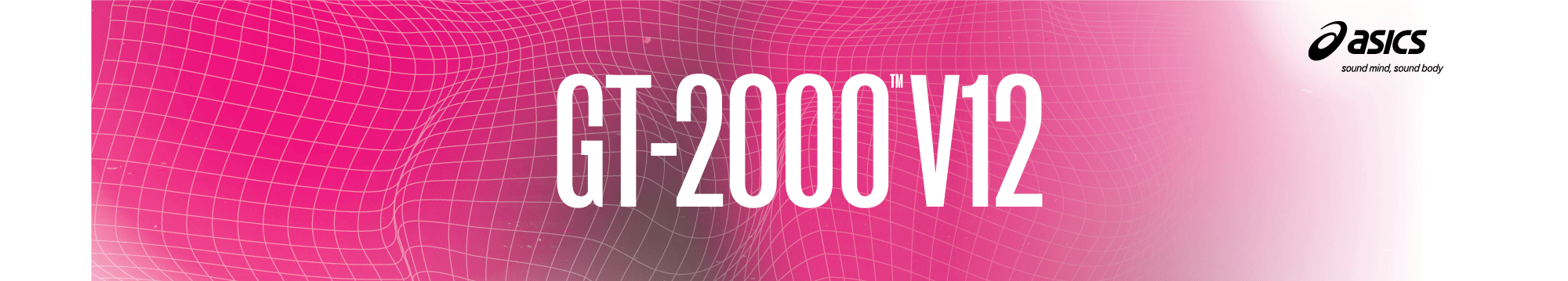 GT-2000 12